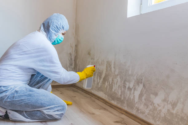 Licensed Mold Testing service in Bulverde, TX - WQB Mold Removal
